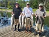 (07/22/2024) - Nice Striped Bass