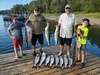 (07/31/2024) - Nice Striped Bass