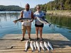 (08/09/2024) - Nice Striped Bass