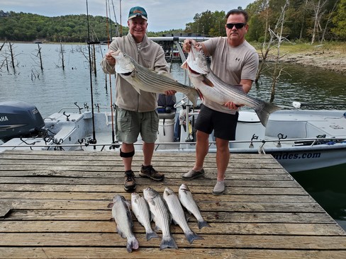 Nice Striped Bass