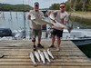 (08/10/2024) - Nice Striped Bass