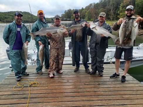 Nice Striped Bass