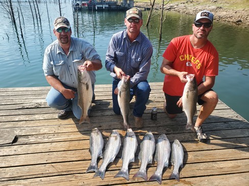 Nice Striped Bass