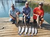 (08/14/2024) - Nice Striped Bass