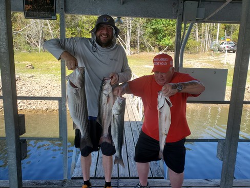 Nice Striped Bass