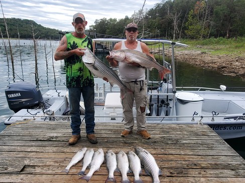 Nice Striped Bass