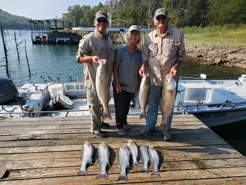 Nice Striped Bass