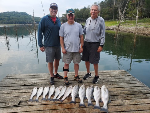 Nice Striped Bass