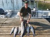 (08/25/2024) - Nice Striped Bass