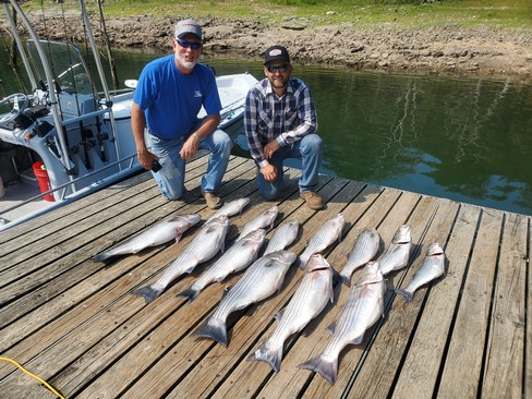 Nice Striped Bass