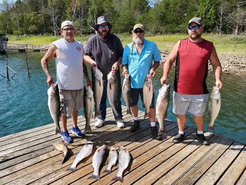 Nice Striped Bass