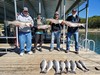 (09/08/2024) - Nice Striped Bass