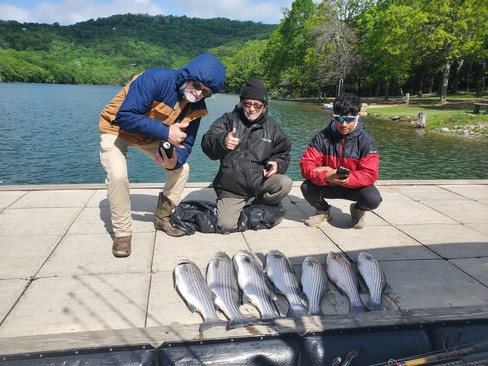 Nice Striped Bass