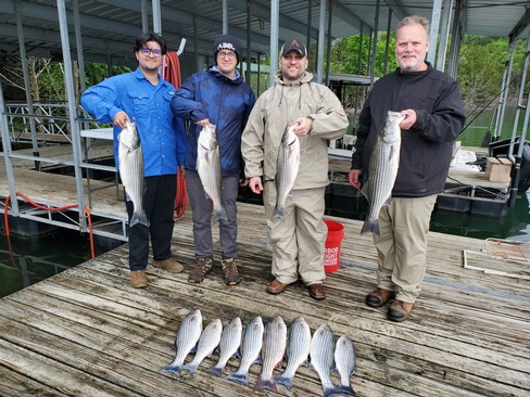 Nice Striped Bass