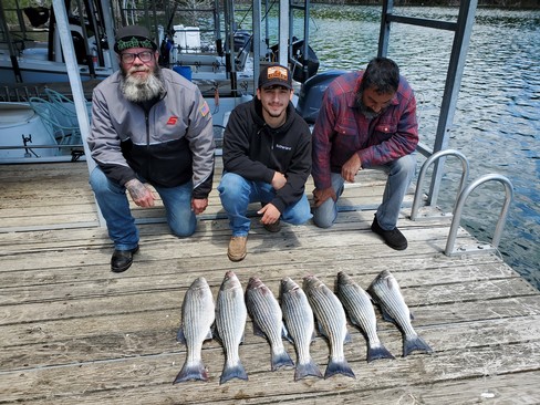 Nice Striped Bass