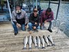 (05/04/2025) - Nice Striped Bass