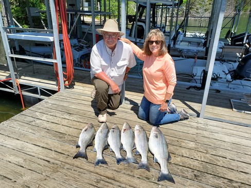 Nice Striped Bass