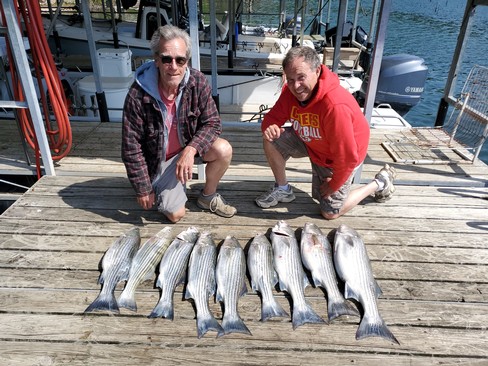 Nice Striped Bass