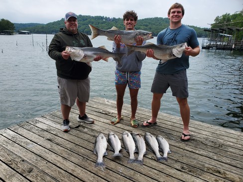 Nice Striped Bass