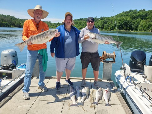 Nice Striped Bass