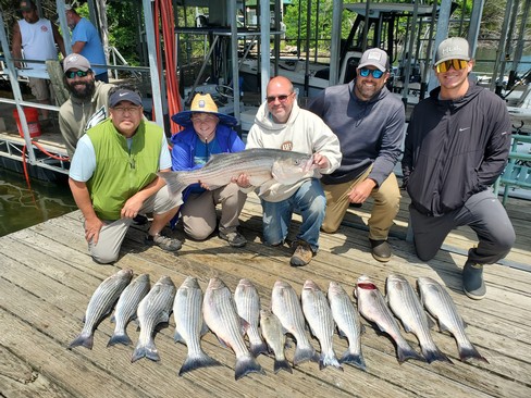 Nice Striped Bass