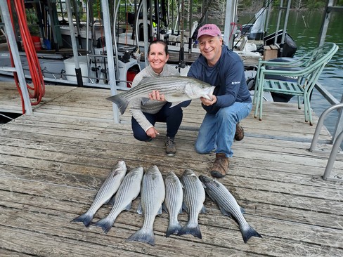 Nice Striped Bass
