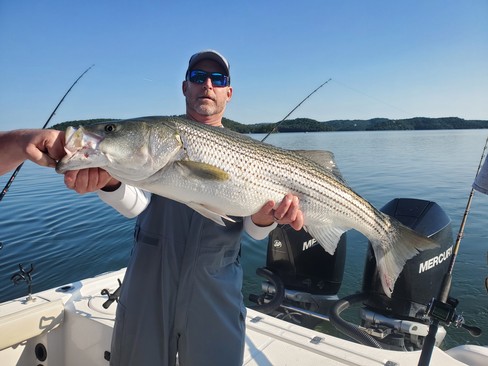 Nice Striped Bass
