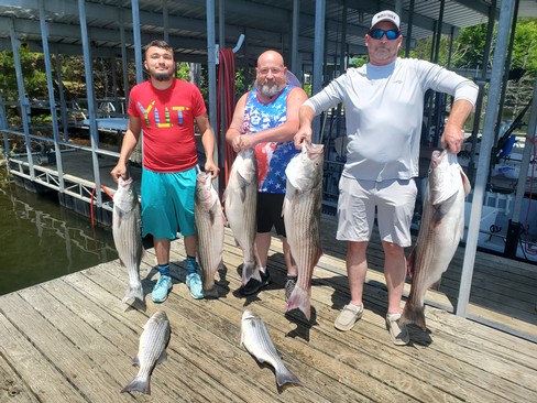 Nice Striped Bass