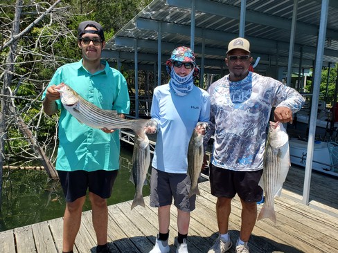 Nice Striped Bass