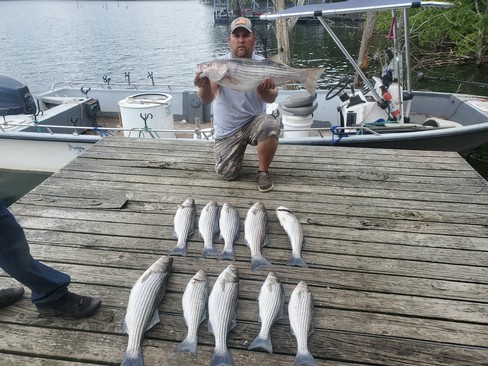 Nice Striped Bass