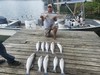 (06/12/2025) - Nice Striped Bass