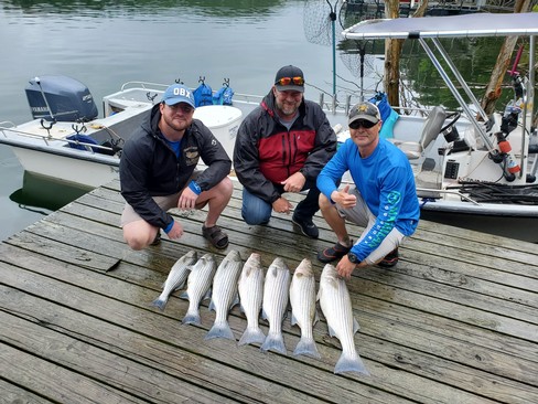 Nice Striped Bass