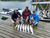 (06/13/2025) - Nice Striped Bass