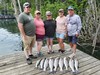 (06/13/2025) - Nice Striped Bass