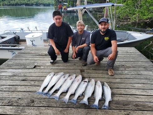 Nice Striped Bass