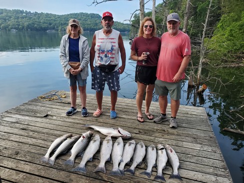 Nice Striped Bass