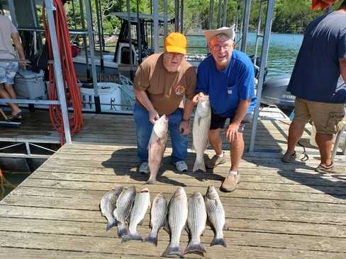 Nice Striped Bass