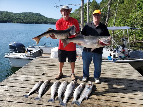 Nice Striped Bass