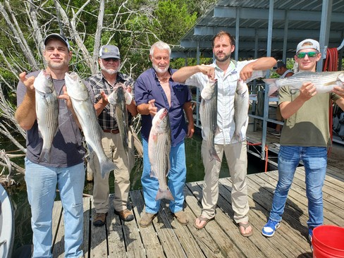 Nice Striped Bass