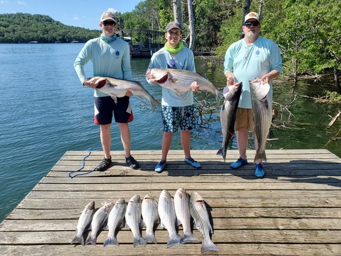 Nice Striped Bass
