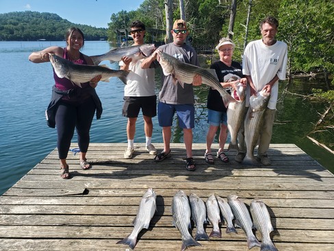 Nice Striped Bass