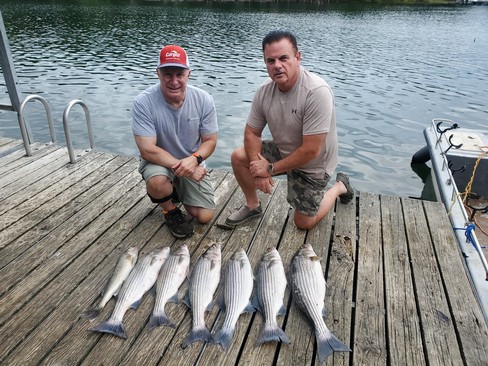 Nice Striped Bass