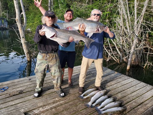 Nice Striped Bass