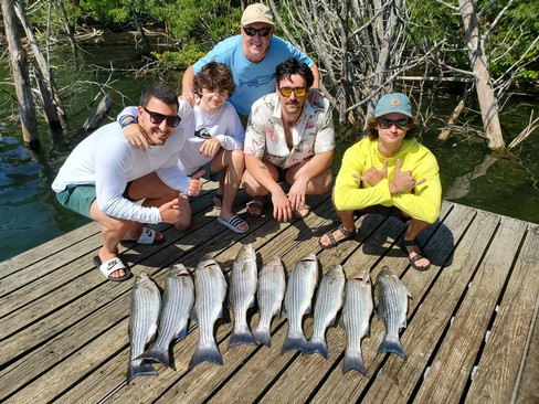 Nice Striped Bass