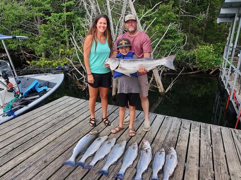 Nice Striped Bass