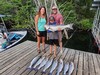 (07/07/2025) - Nice Striped Bass