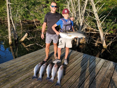 Nice Striped Bass