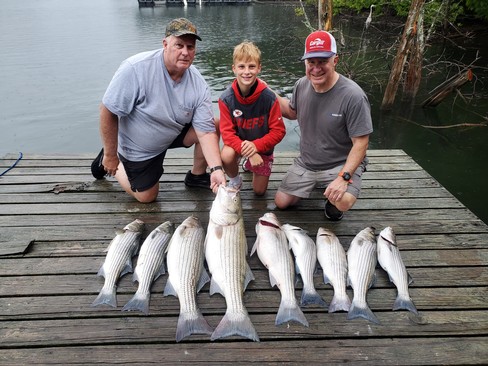 Nice Striped Bass