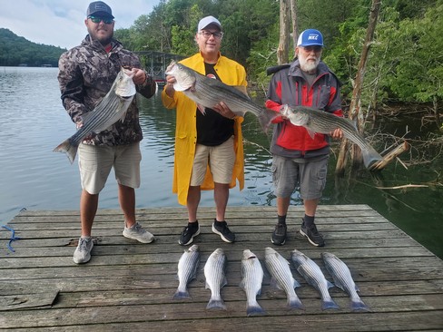 Nice Striped Bass