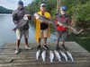 (07/13/2025) - Nice Striped Bass